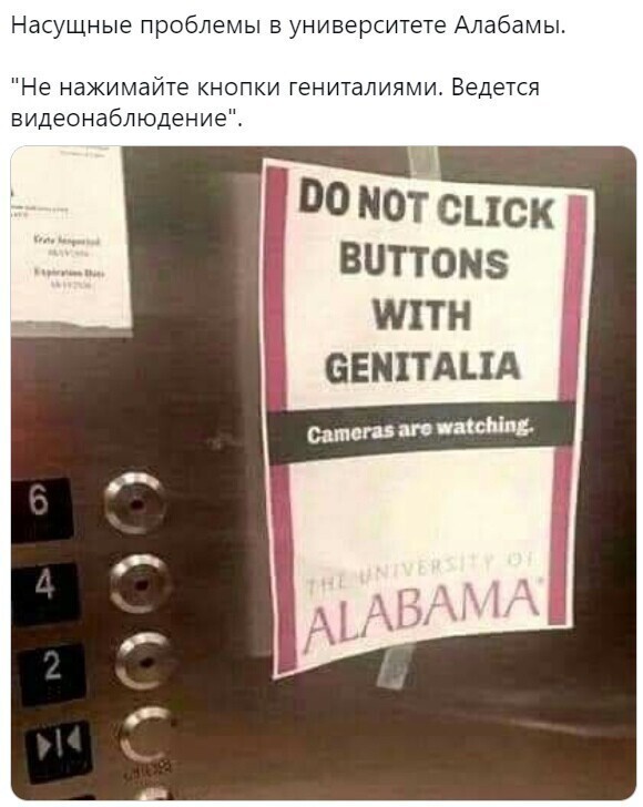 О политике и не только