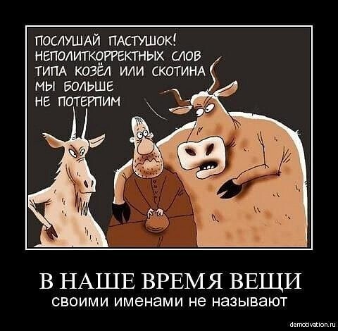 О политике и не только