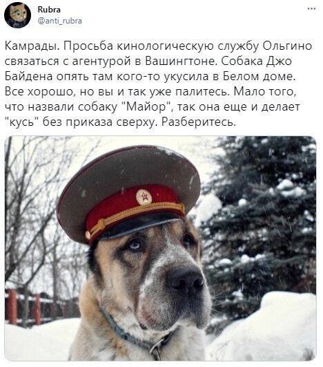 О политике и не только