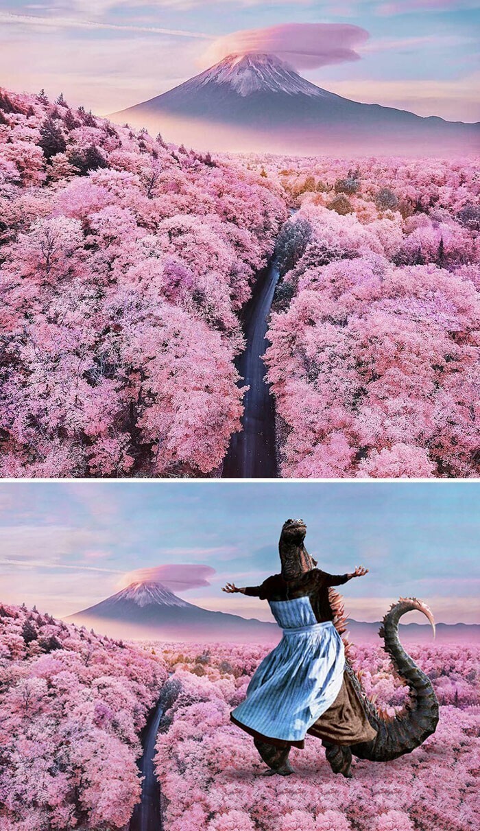 Гора Фудзи (Япония) - «Розовая долина»
