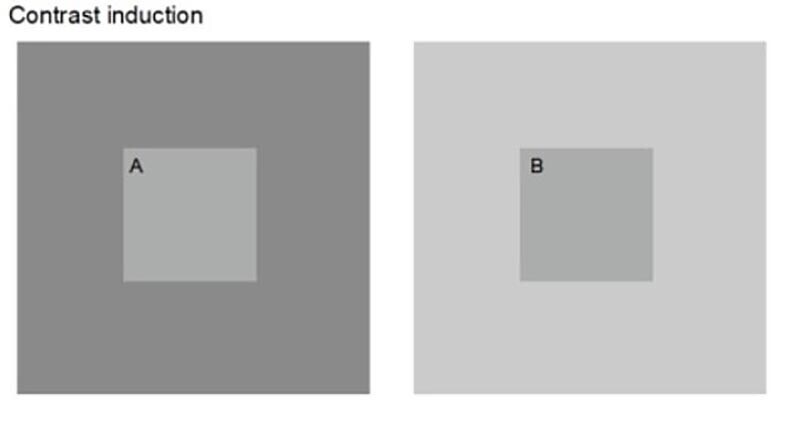  Участникам было предложено пройти два теста на зрительное восприятие, в которых они сравнили яркость и контрастность простых узоров, показанных ниже