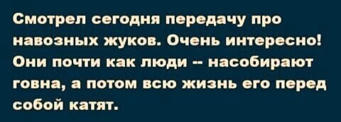 О политике и не только
