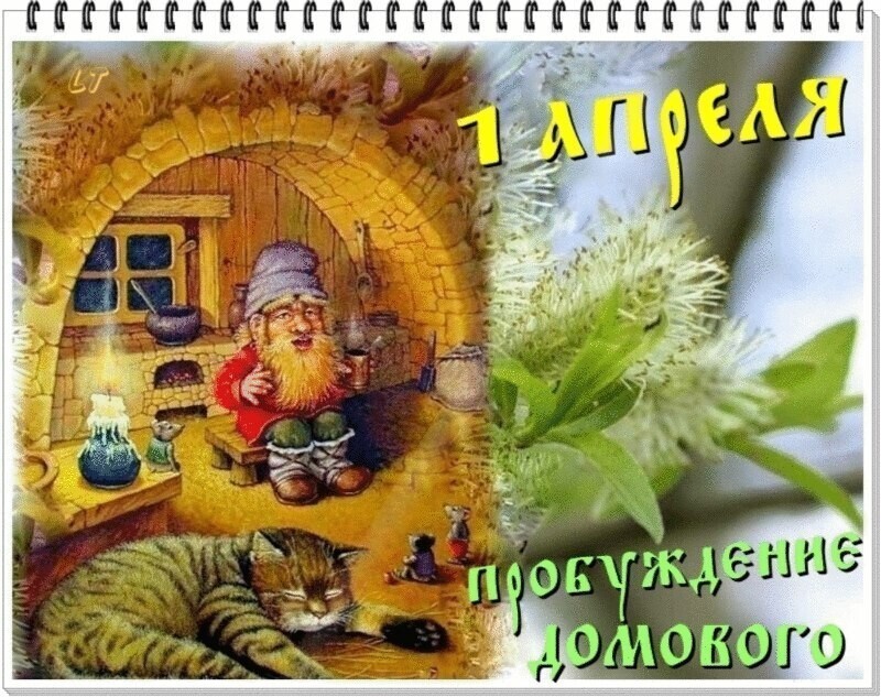 О политике и не только