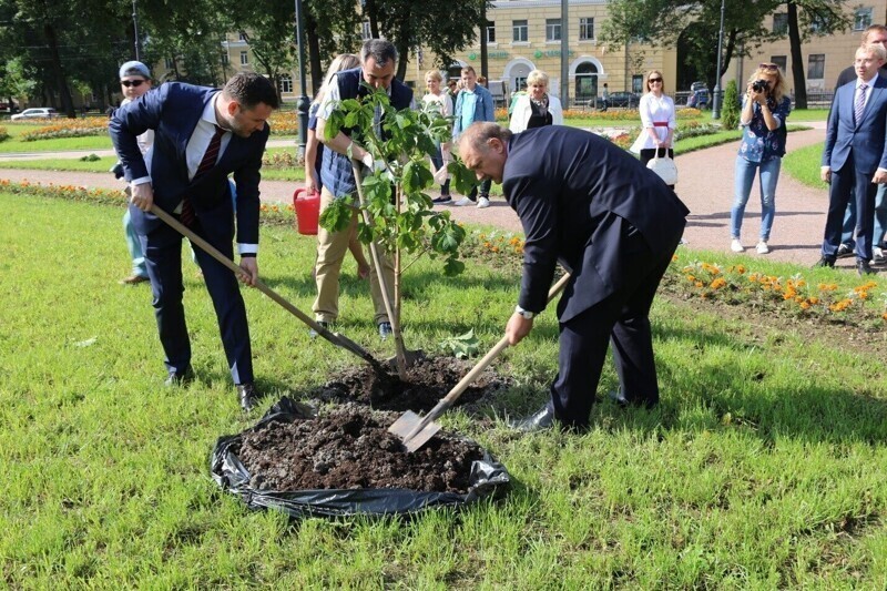 Преображение Красногвардейского района к его юбилею продолжится
