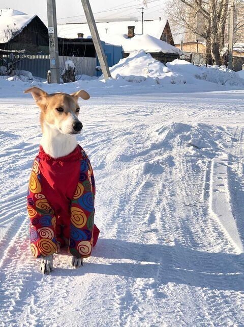 По лужам и грязи — только так