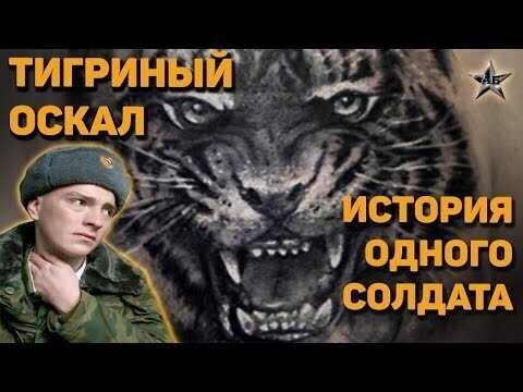 История армейской наколки тигра с человеческими глазами 