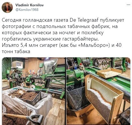 О политике и не только