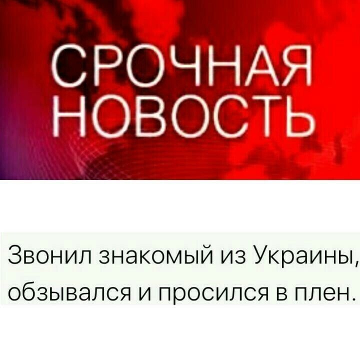 О политике и не только