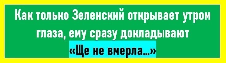 О политике и не только