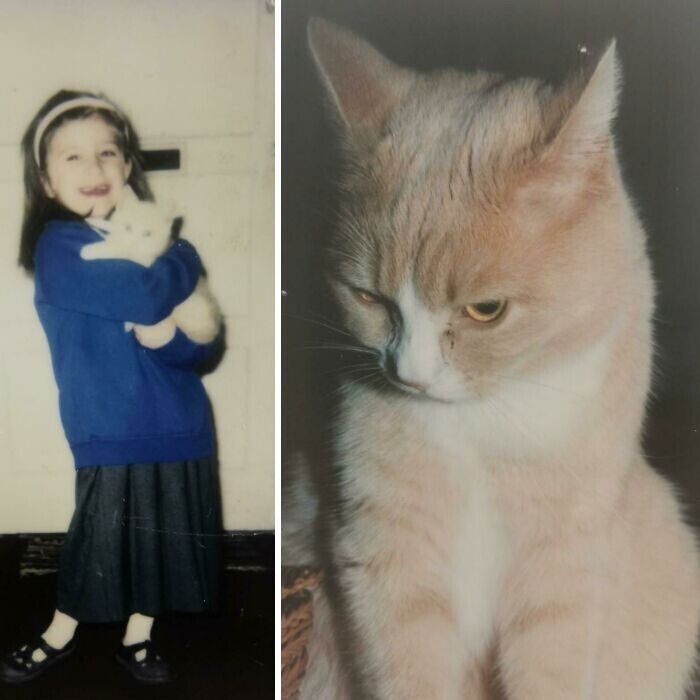 "Я была еще маленькой, когда у нас появился кот. Сейчас мне 27, и его уже нет рядом, но я всегда буду помнить нашего главного любимчика"