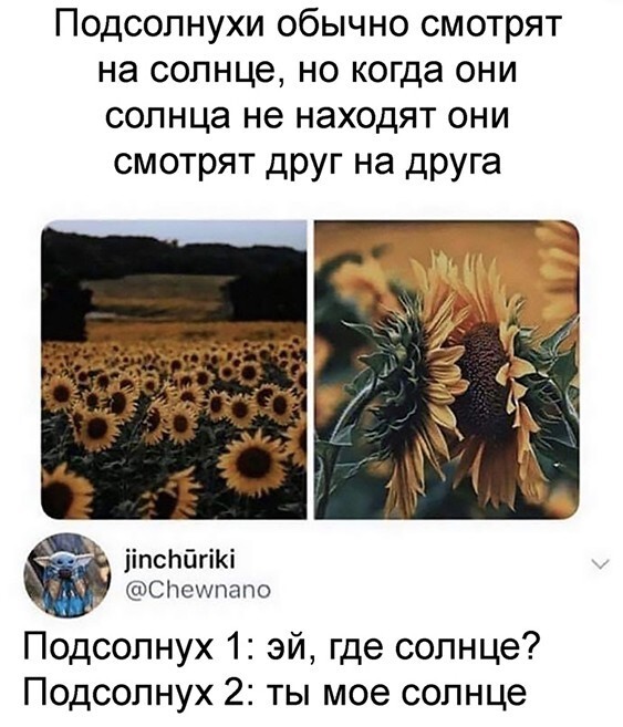 Смешные и познавательные картинки 