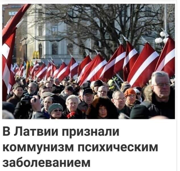 О политике и не только