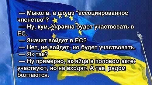 О политике и не только