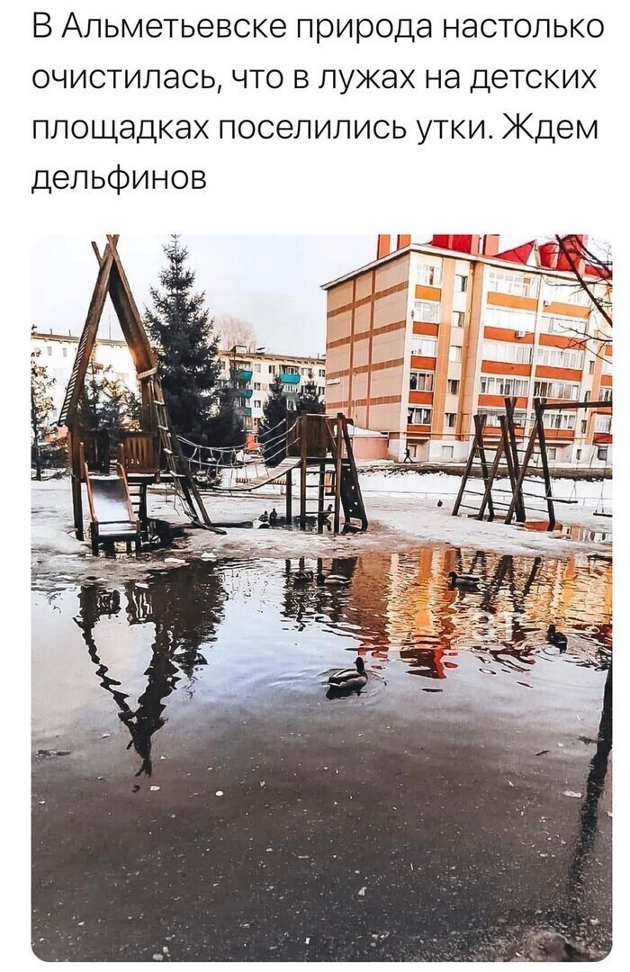 О политике и не только