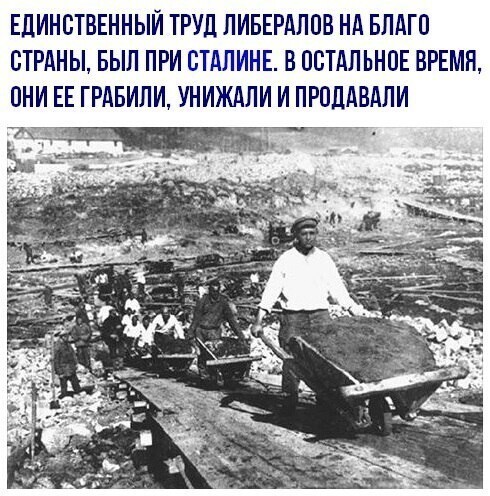 О политике и не только