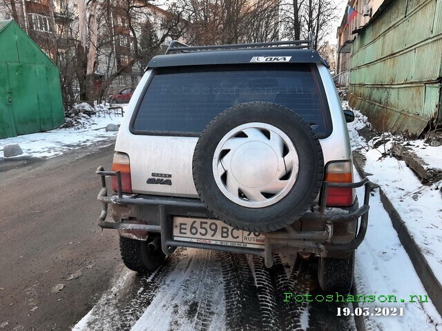 Автовсячина