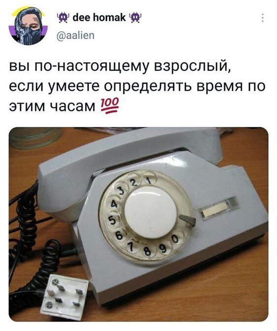 Смешные и познавательные картинки