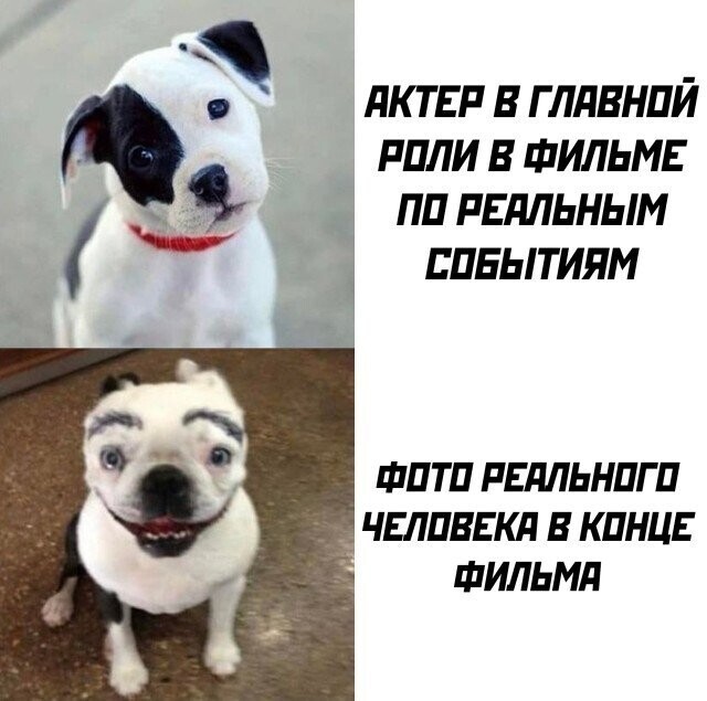 Намешалось