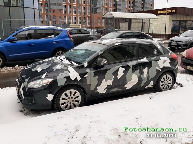 Автовсячина