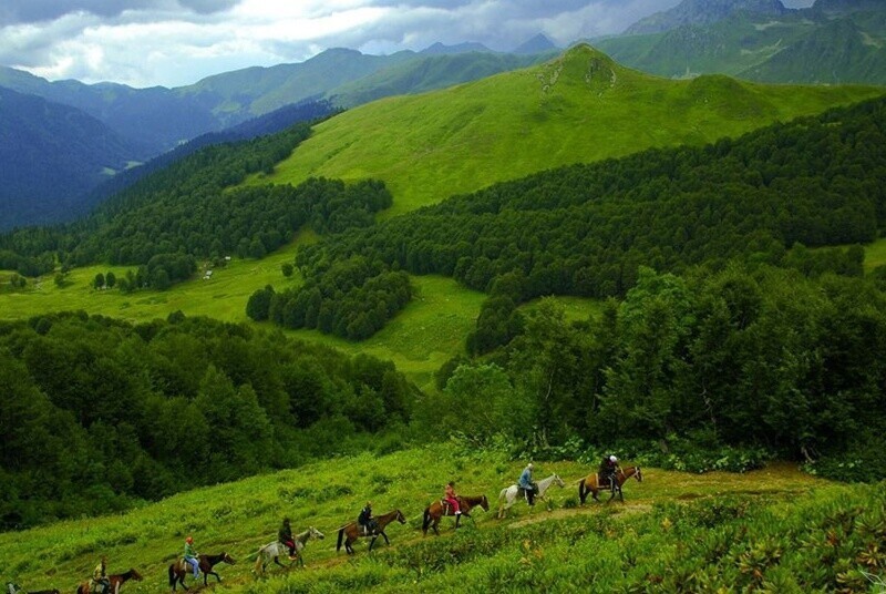 Абхазия. Отдых с детьми: отзывы