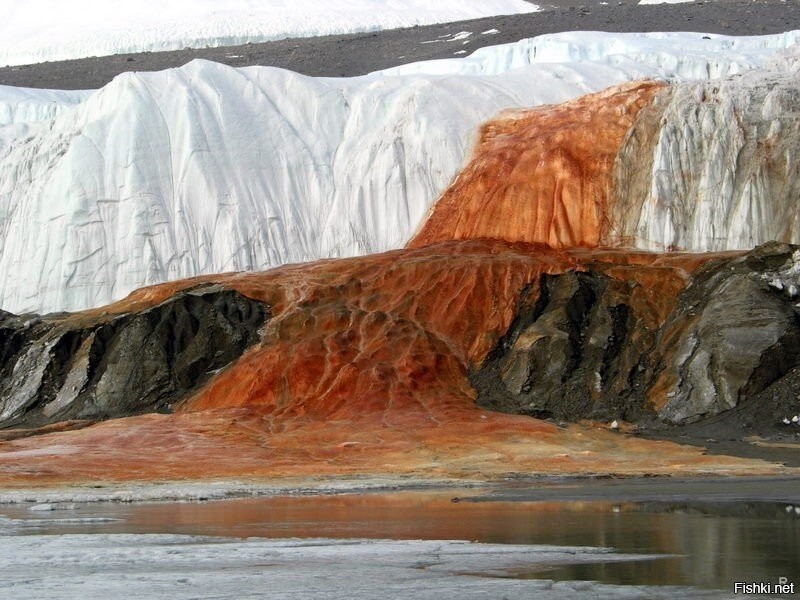 Антарктида,  Кровавый водопад Тейлора