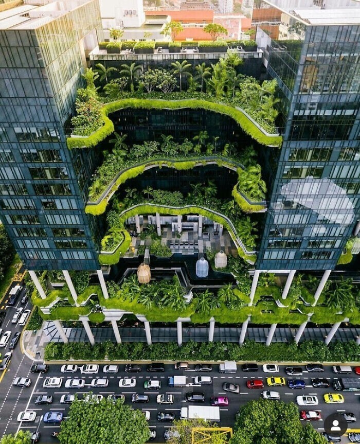 Крутой "зеленый" отель в Сингапуре