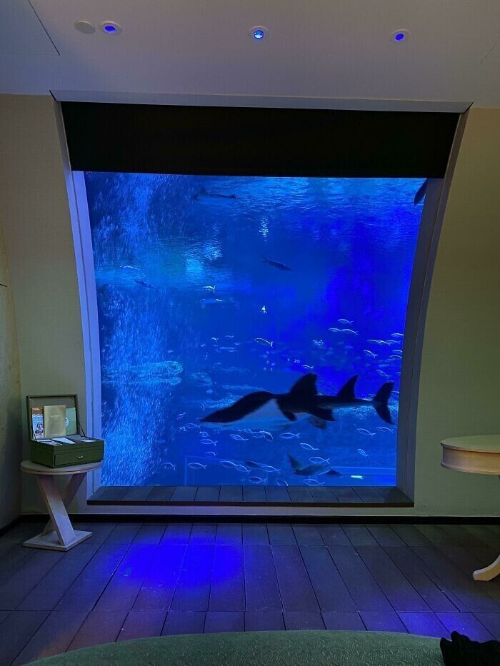 "А в нашем отеле есть гигантский аквариум с акулами, мантами, и другими рыбками. Красиво"