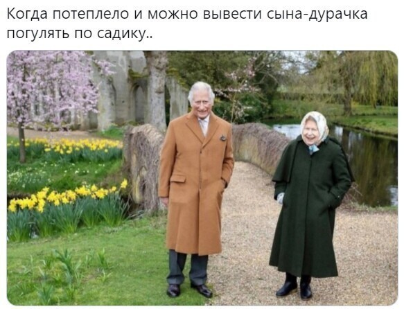 О политике и не только