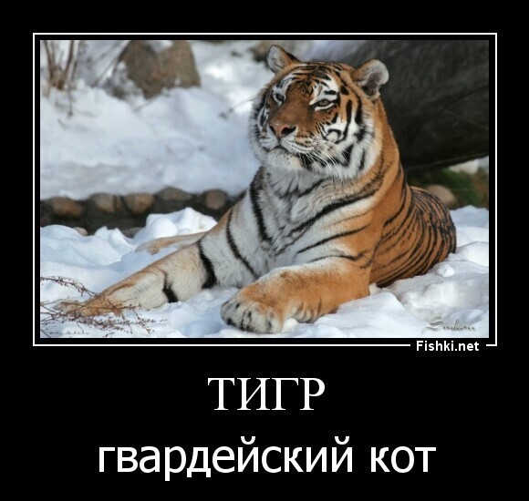О политике и не только
