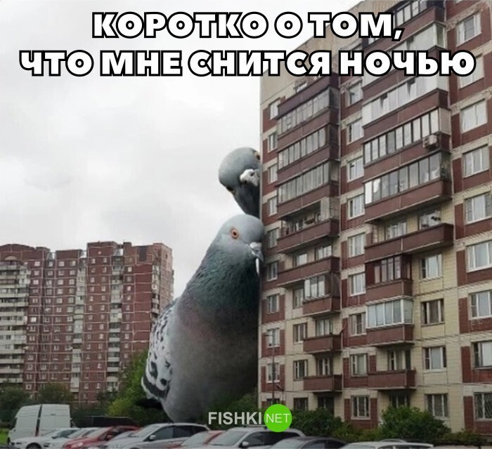 Намешалось