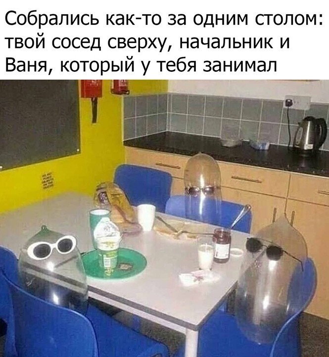 Смешные и познавательные картинки