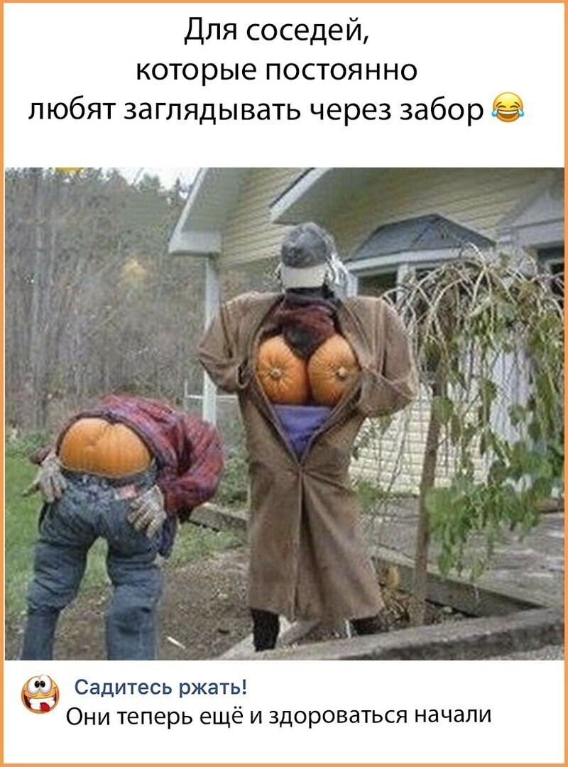 Веселые  картинки