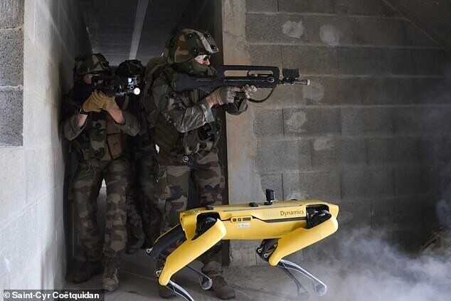 Французская армия приняла на службу робота-собаку
