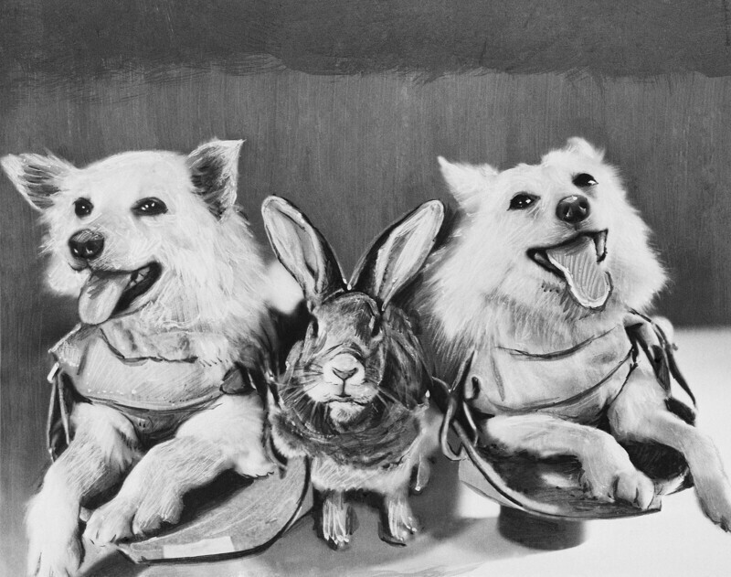 1958. Собаки Отважная, Снежинка и кролик перед полетом на геофизической ракете в верхние слои атмосферы.
