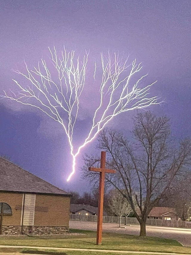 Молния похожа на дерево