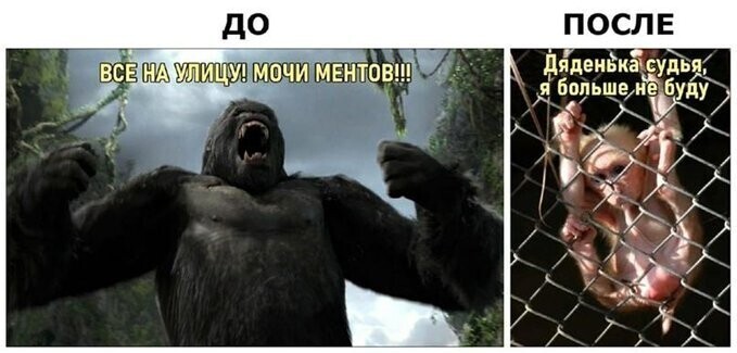 О Политике и не только
