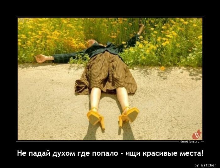 О Политике и не только