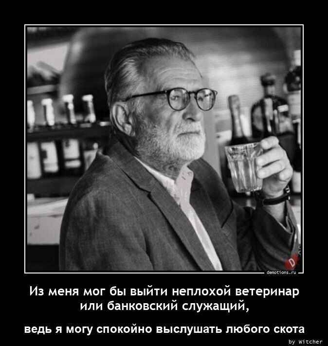 О Политике и не только