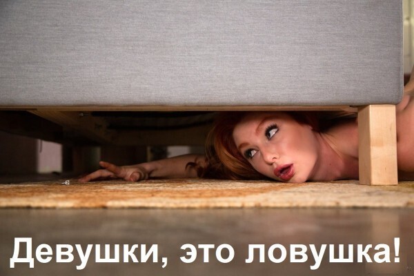 О Политике и не только