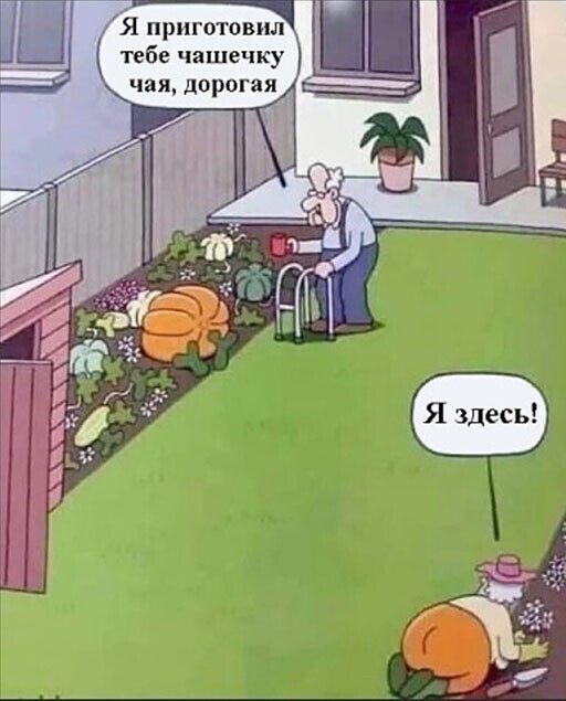 О Политике и не только