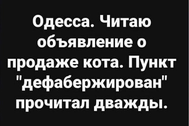 7. Ох уж эти заводчики котов...