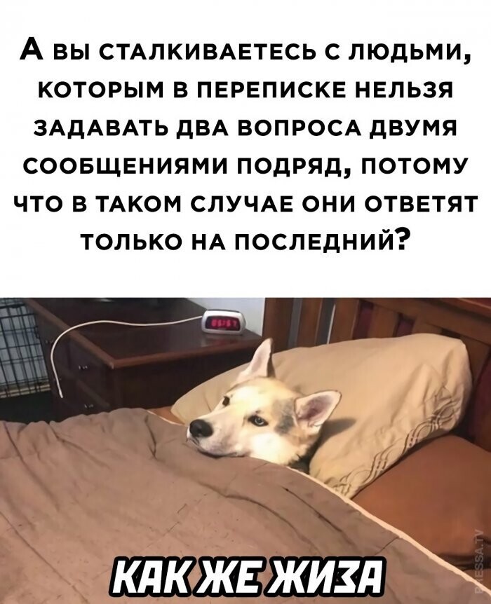 Мемы и смешные картинки, большой блок из соц.сетей