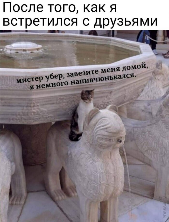 Мемы и смешные картинки, большой блок из соц.сетей
