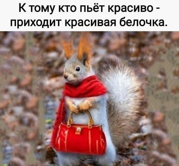 Мемы и смешные картинки, большой блок из соц.сетей