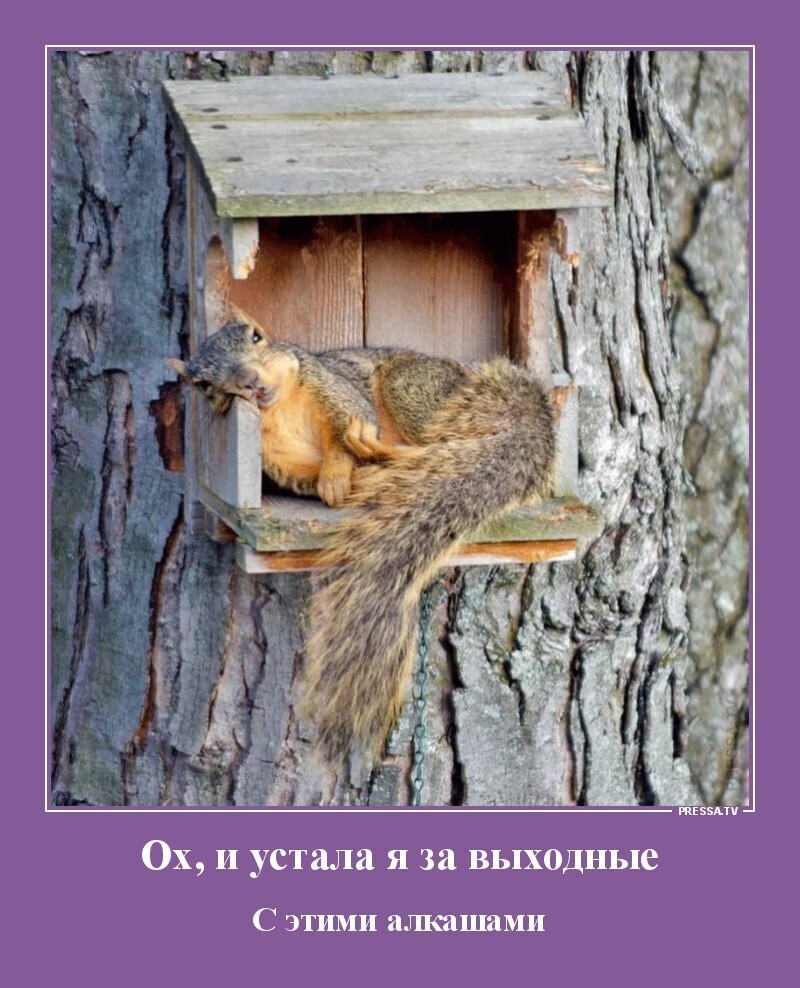 Мемы и смешные картинки, большой блок из соц.сетей