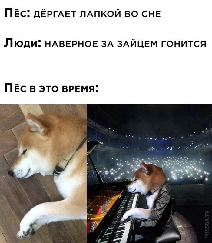 Мемы и смешные картинки, большой блок из соц.сетей