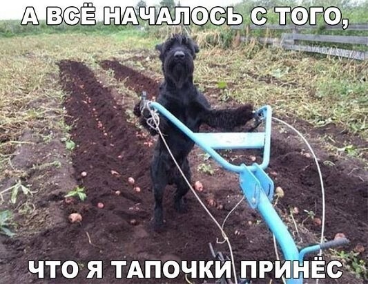 Мемы и смешные картинки, большой блок из соц.сетей