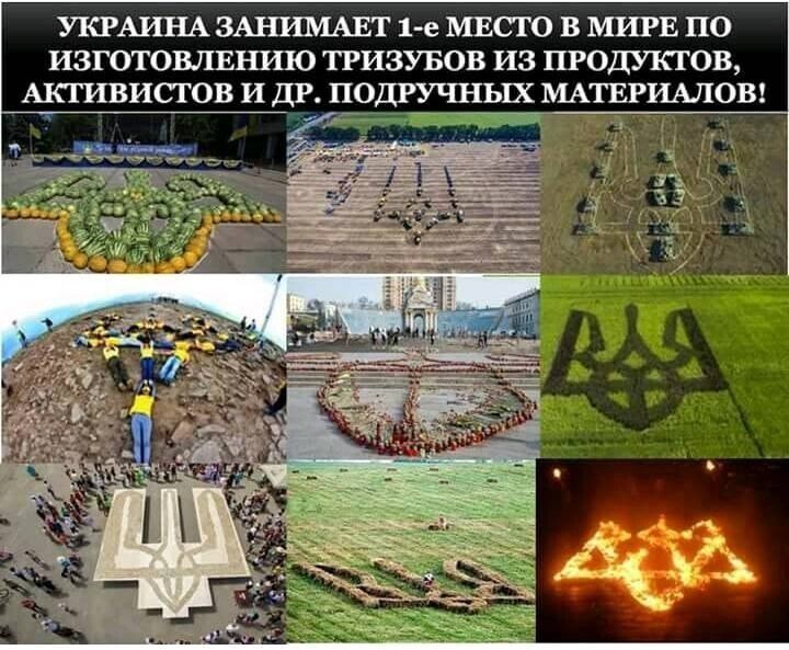 О политике и не только