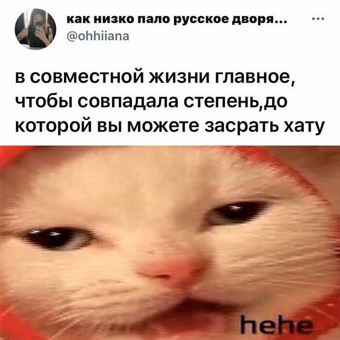 Скрины из соцсетей