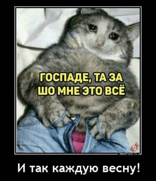 Намешалось